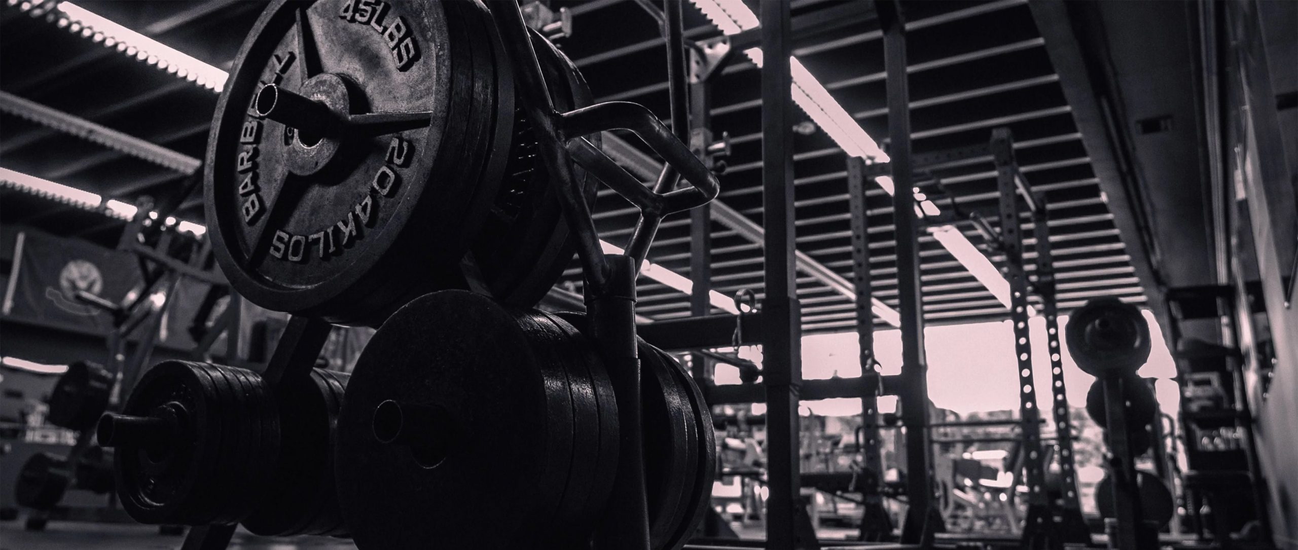 Home 5 steroids-uk-gym