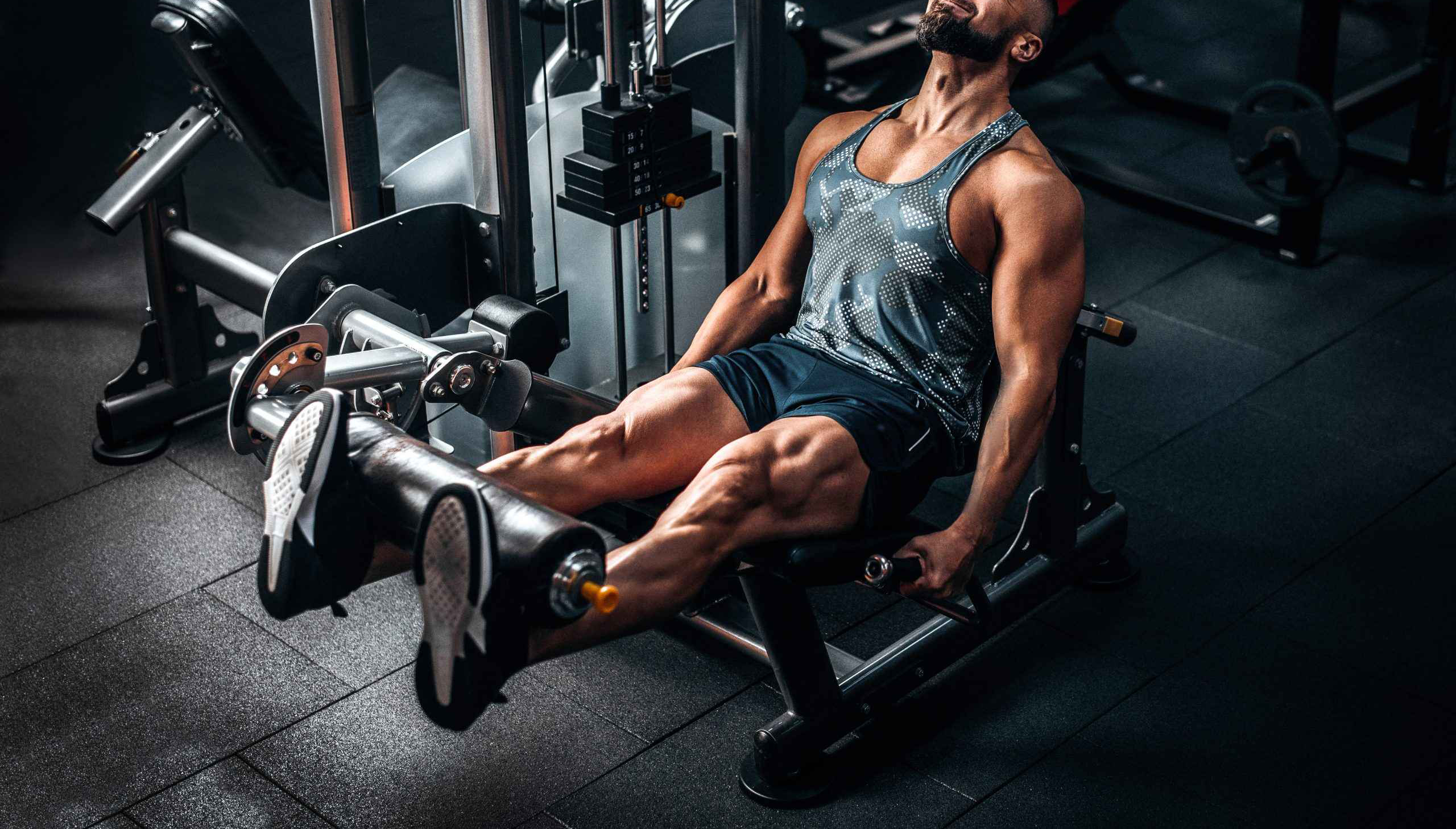 leg-press-steroids